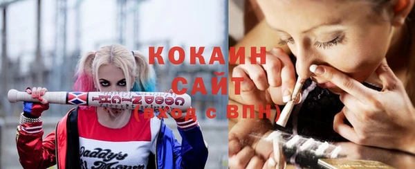 стаф Гусев