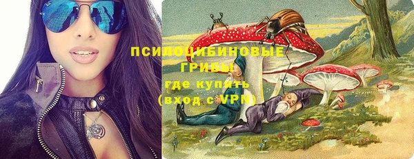 сатива Арсеньев