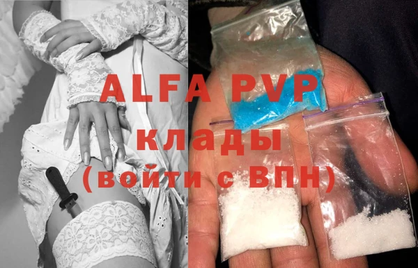 сатива Арсеньев