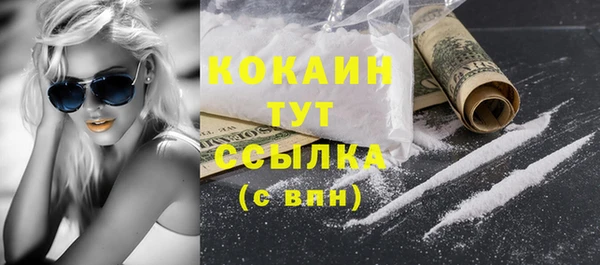 сатива Арсеньев